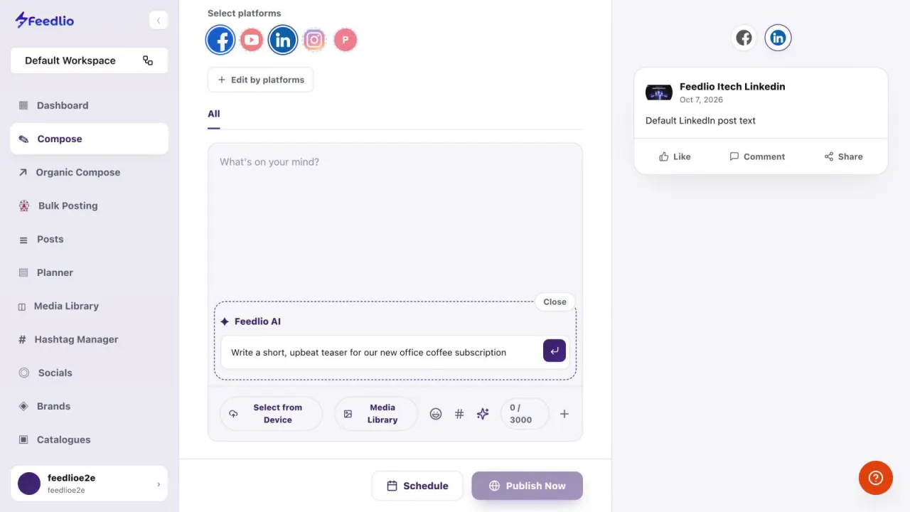 Screenshot: Prompt Feedlio AI